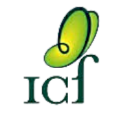 ICf